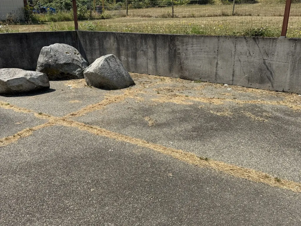 Concrete driveway before RinzUP pressure washing