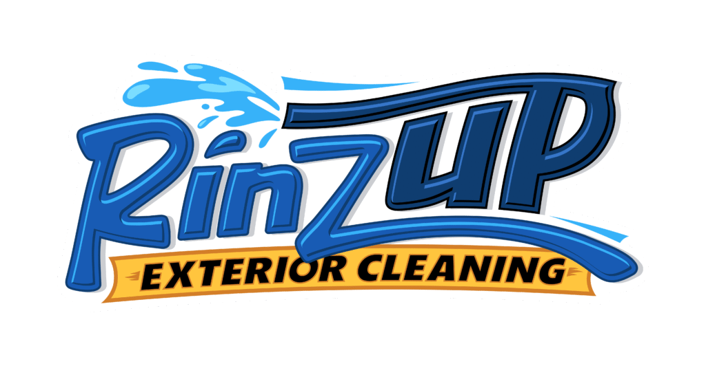 rinzup logo color 
