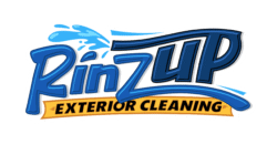 rinzup logo color